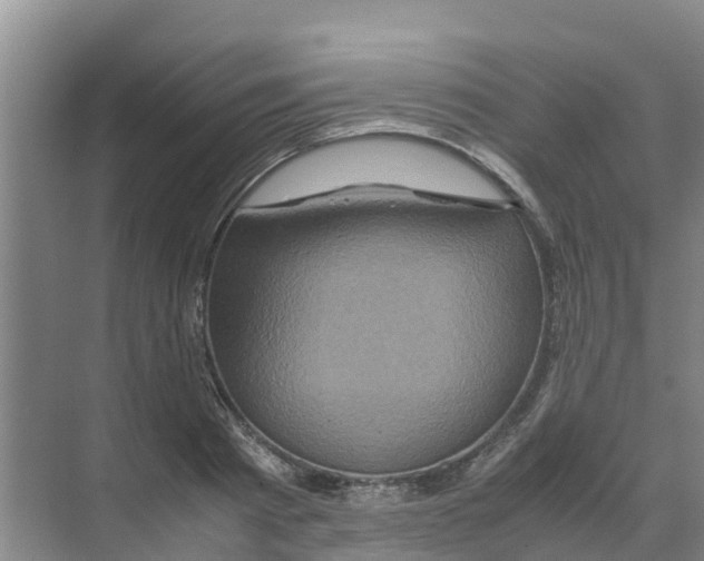 X0000070170793200606231919