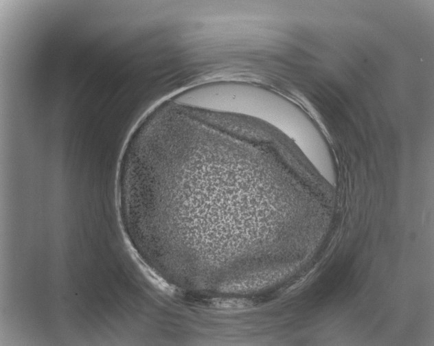 X0000070170795200606231919