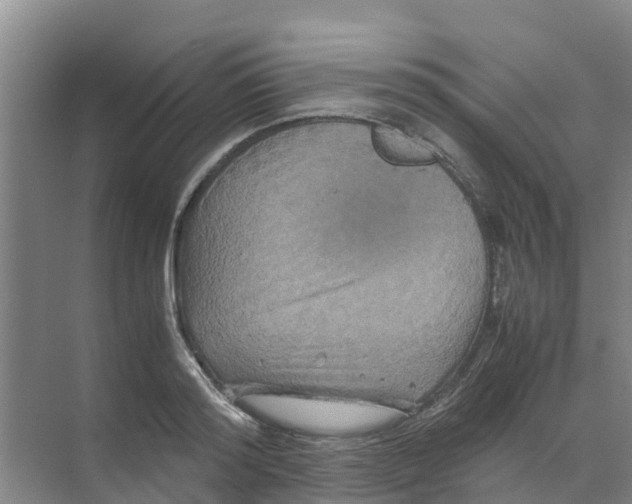 X0000070170796200606231919