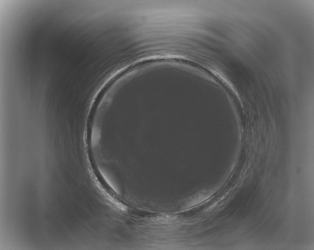 X0000070170797200606231919