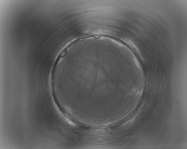 X0000070170798200606231919