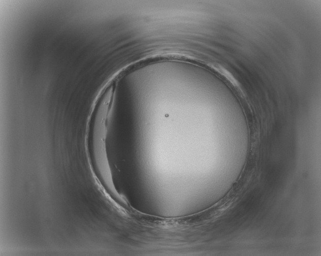 X0000070170799200606231919