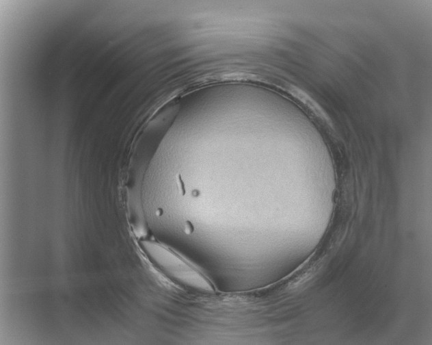 X0000070170801200606231919