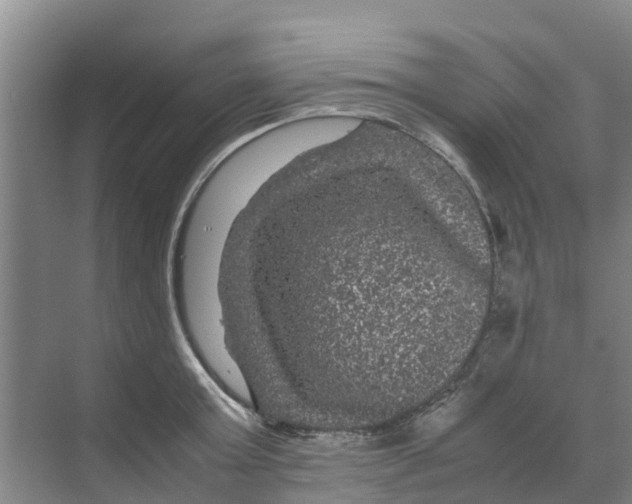 X0000070170803200606231919