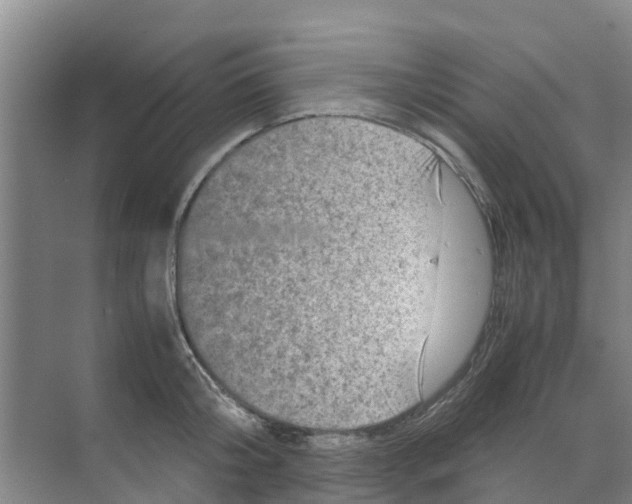 X0000070170804200606231919