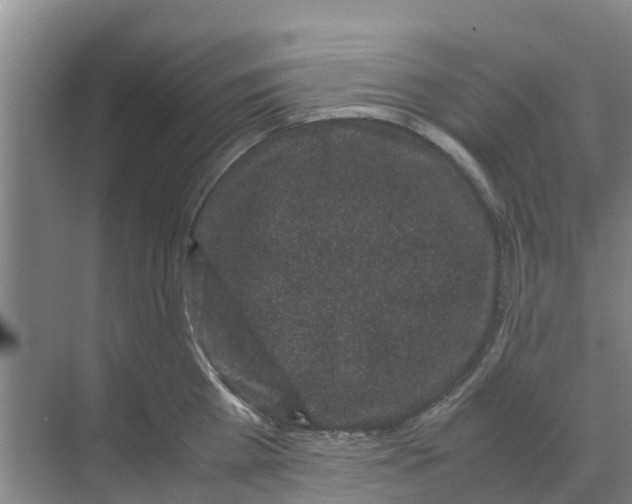 X0000070170809200606231919