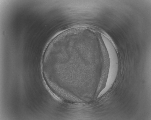 X0000070170811200606231919