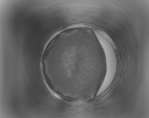 X0000070170813200606231919