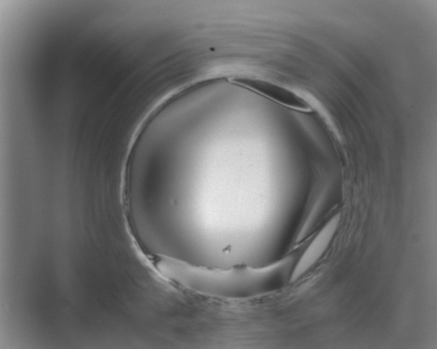 X0000070170815200606231919