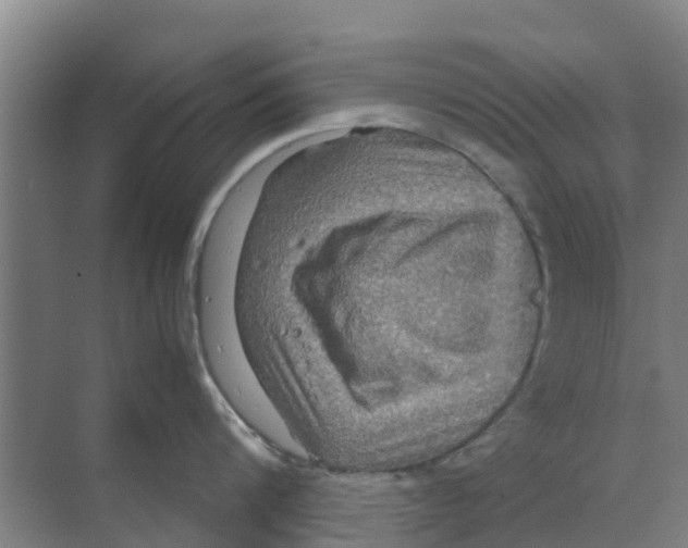 X0000070170816200606231919