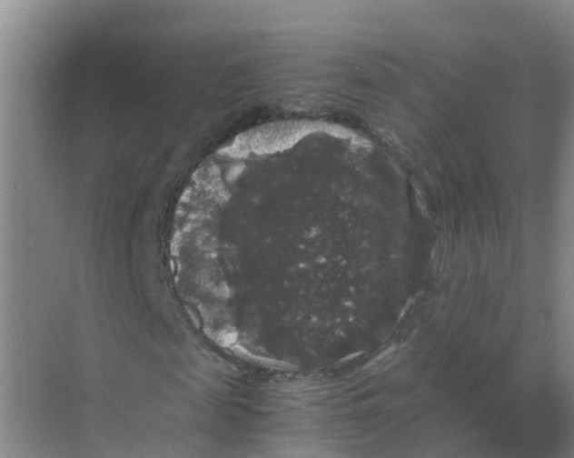 X0000070170817200606231918