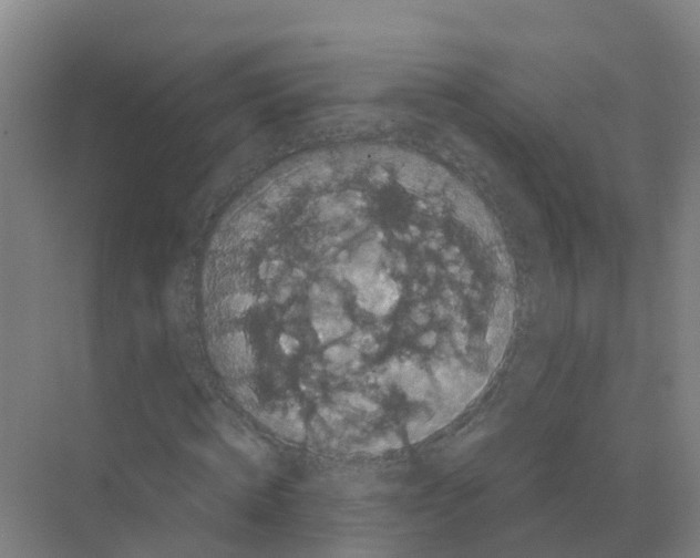 X0000070170820200606231918