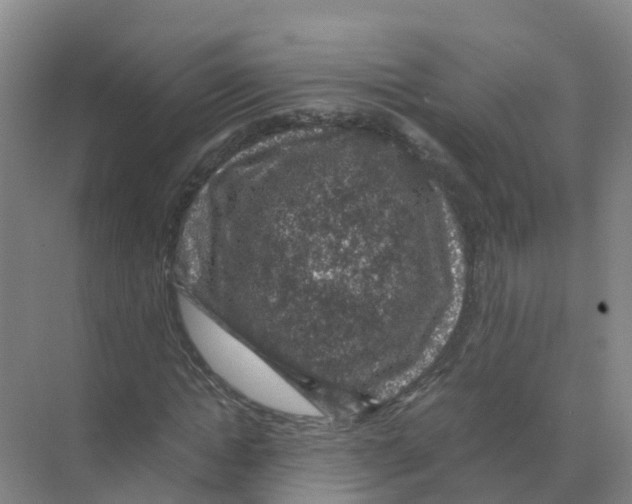 X0000070170822200606231918