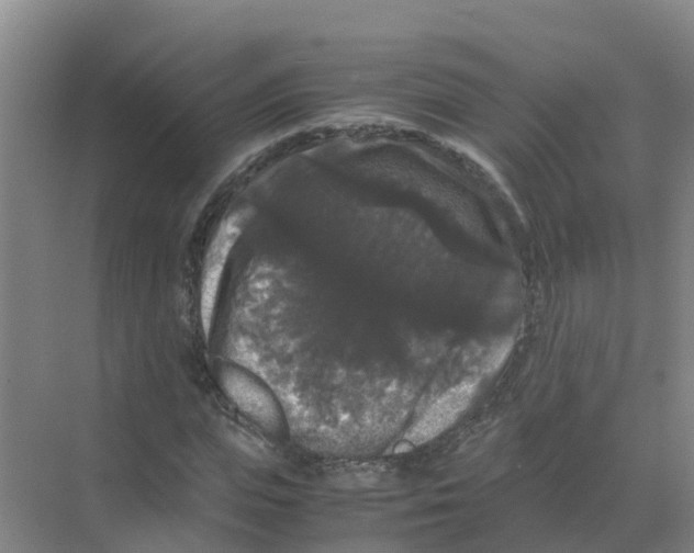 X0000070170823200606231918