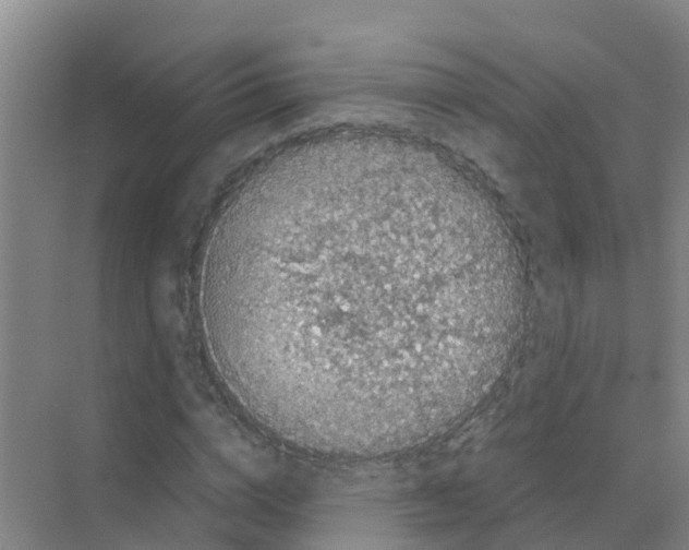 X0000070170824200606231918