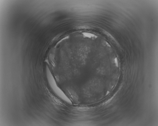 X0000070170825200606231918