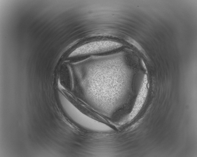 X0000070170826200606231918