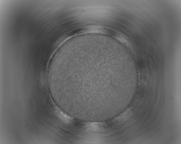 X0000070170828200606231918