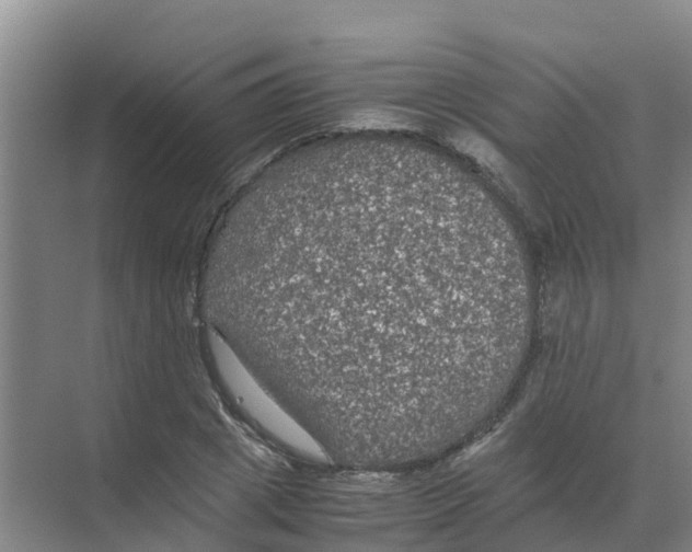 X0000070170833200606231919