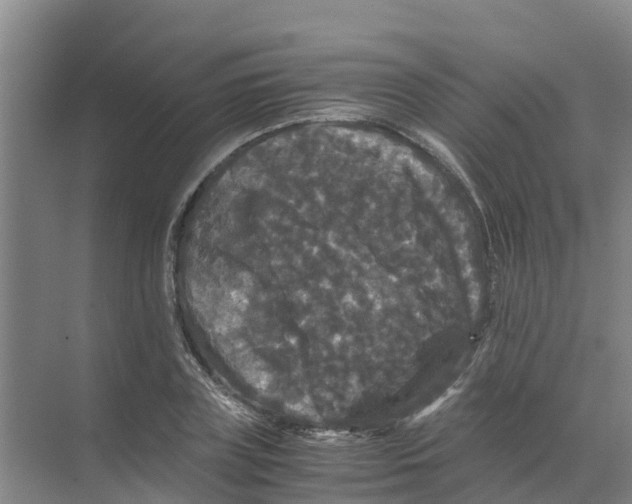 X0000070170835200606231919