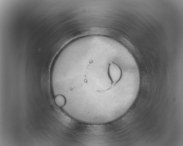 X0000070170836200606231919