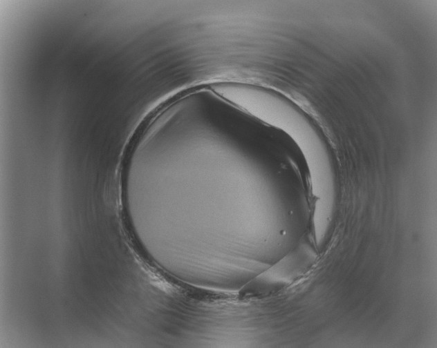 X0000070170838200606231919