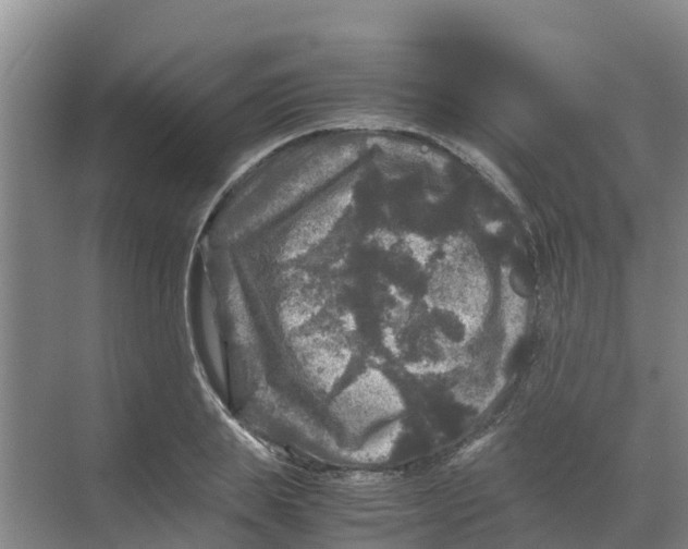 X0000070170839200606231919