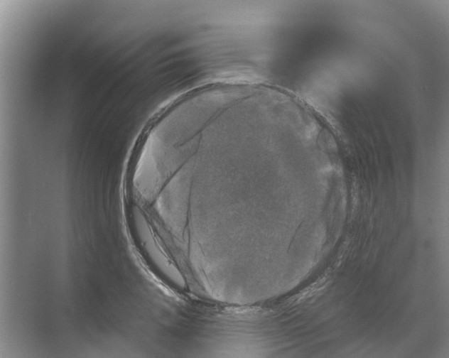 X0000070170840200606231919