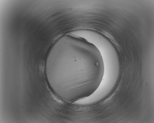 X0000070170841200606231919