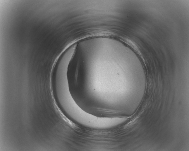 X0000070170843200606231919