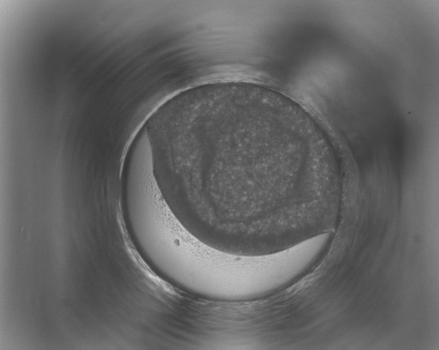 X0000070170844200606231919