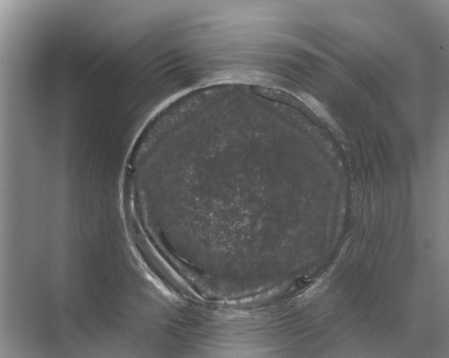 X0000070170846200606231919