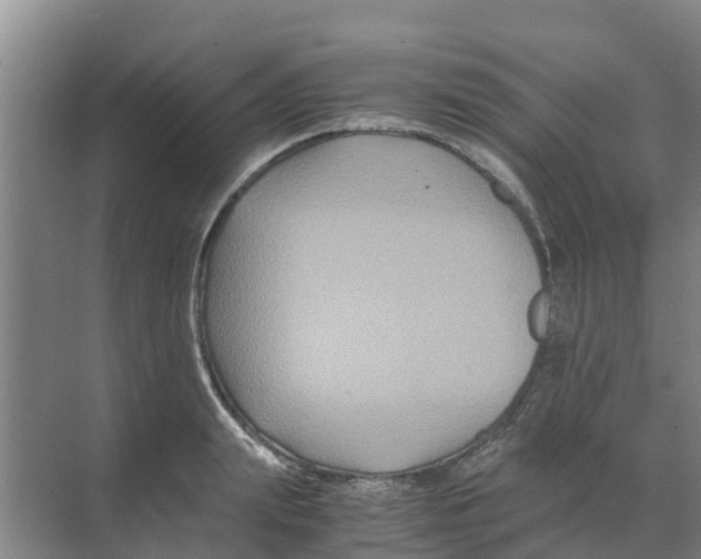 X0000070170847200606231919