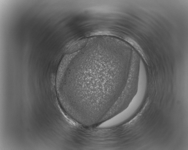 X0000070170849200606231919