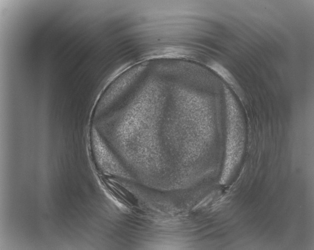 X0000070170850200606231919