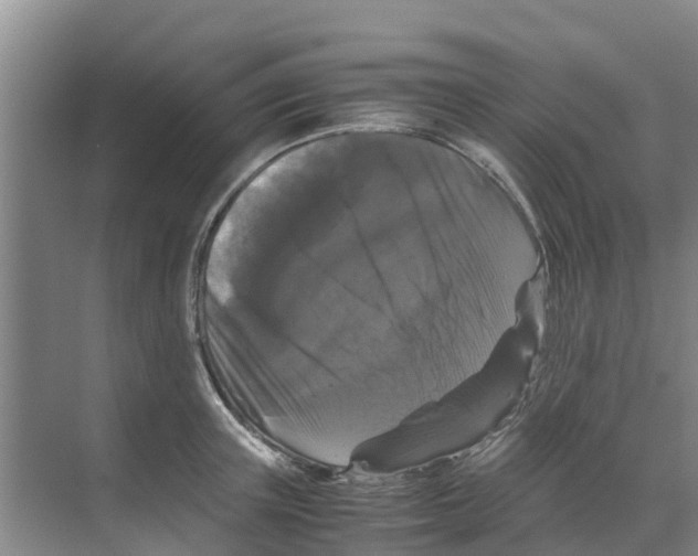 X0000070170851200606231919