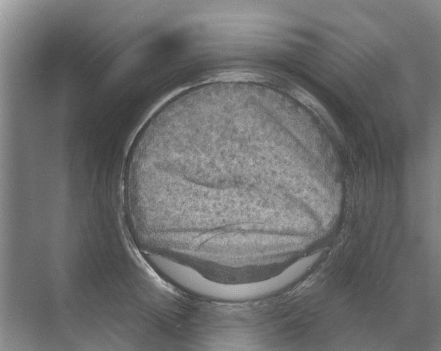 X0000070170852200606231919