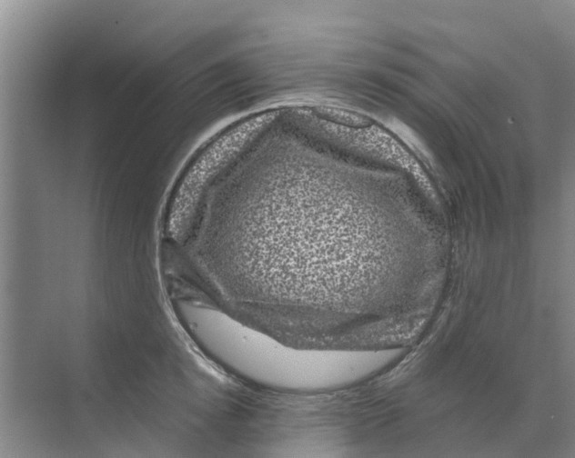 X0000070170854200606231919