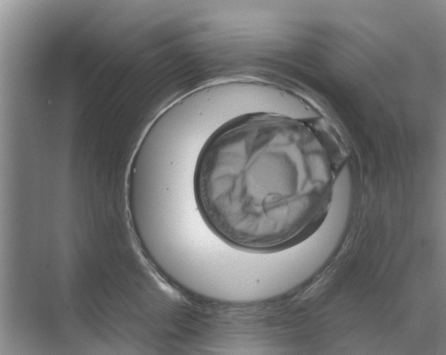 X0000070170858200606231919