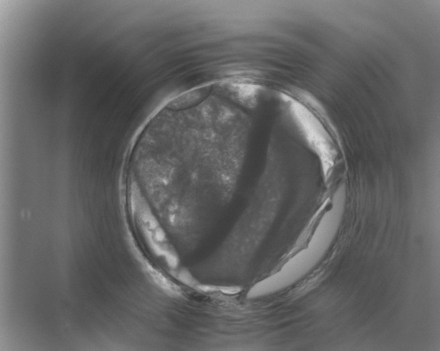 X0000070170859200606231919