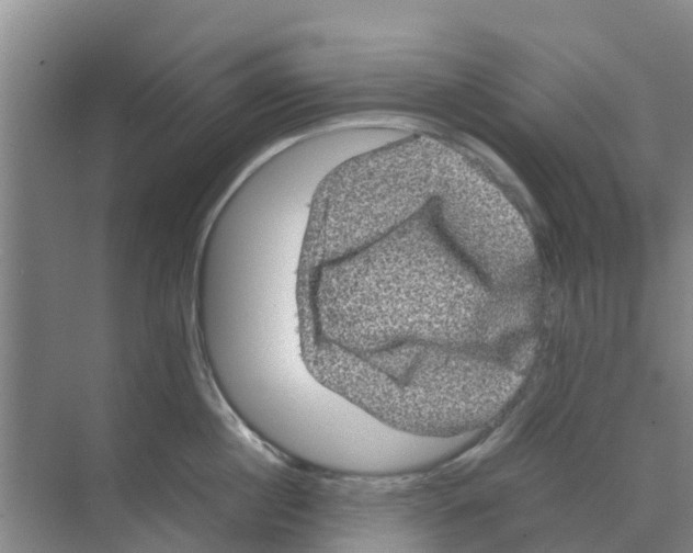 X0000070170860200606231919