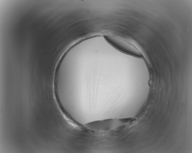 X0000070170861200606231919