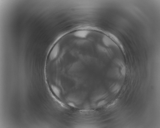 X0000070170863200606231919