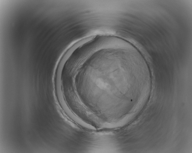 X0000070170864200606231919