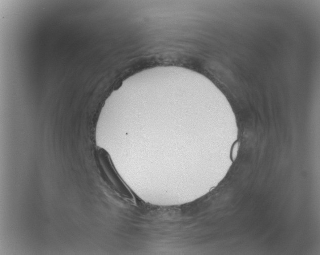 X0000070170865200606231918