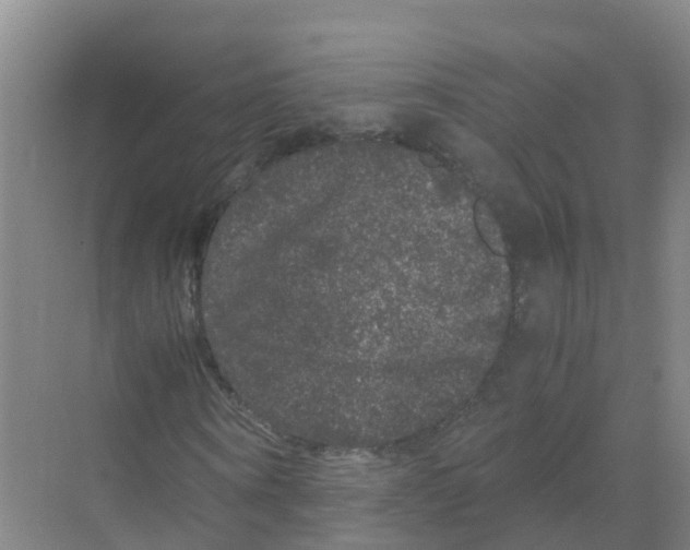 X0000070170866200606231918