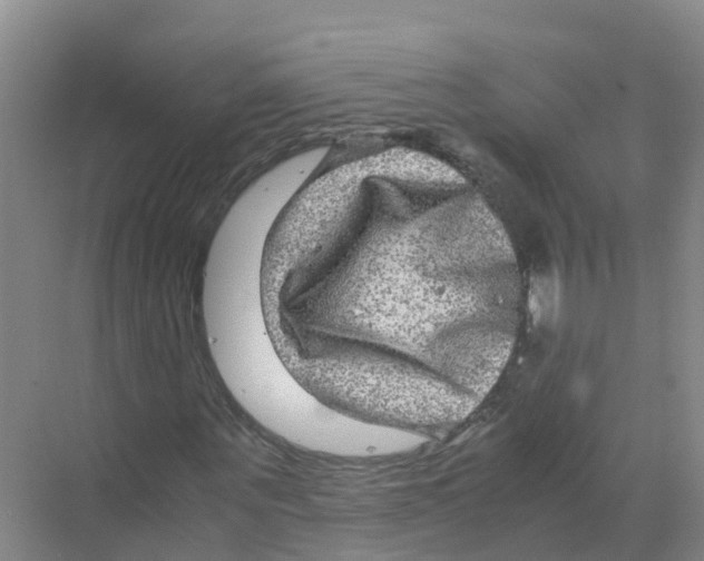 X0000070170867200606231918