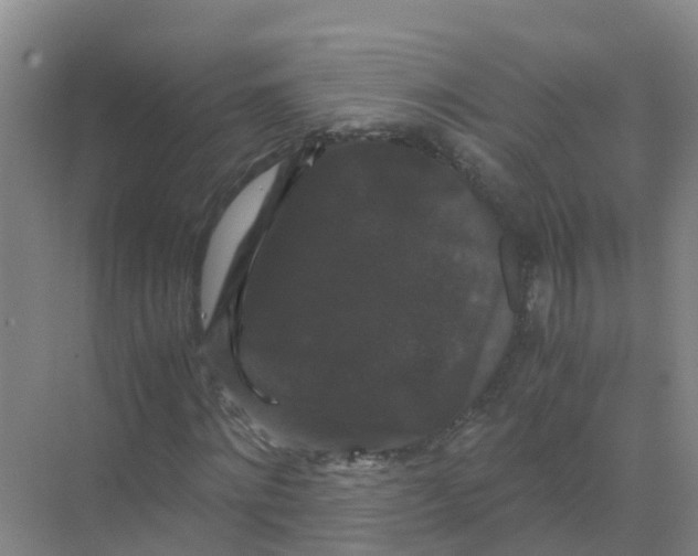 X0000070170868200606231918