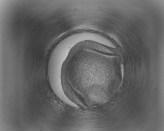 X0000070170872200606231918