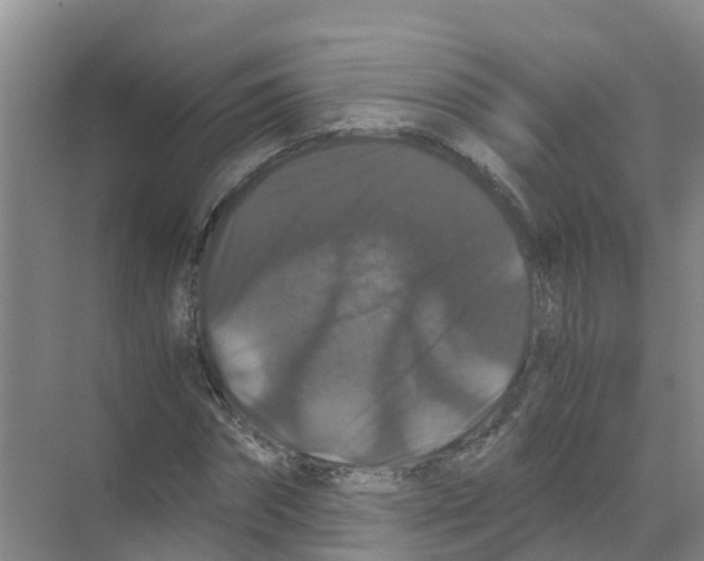 X0000070170874200606231918